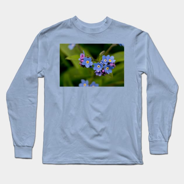 English Forget-me-not in Springtime Long Sleeve T-Shirt by Violaman